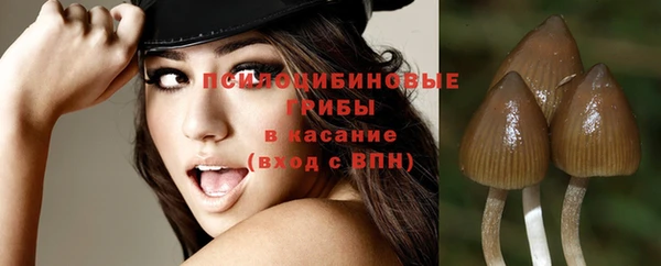 стафф Алексеевка