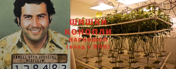 героин Алексин