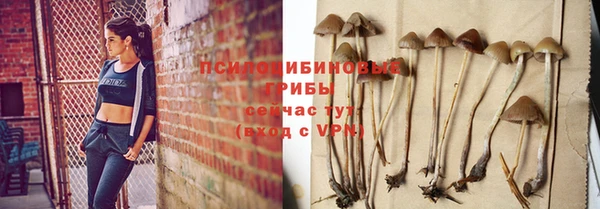 героин Алексин
