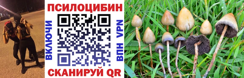 Псилоцибиновые грибы Psilocybine cubensis  Чапаевск 